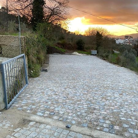 Casa Da Zefinha, Em Cinfaes, No Douro Daire Dış mekan fotoğraf