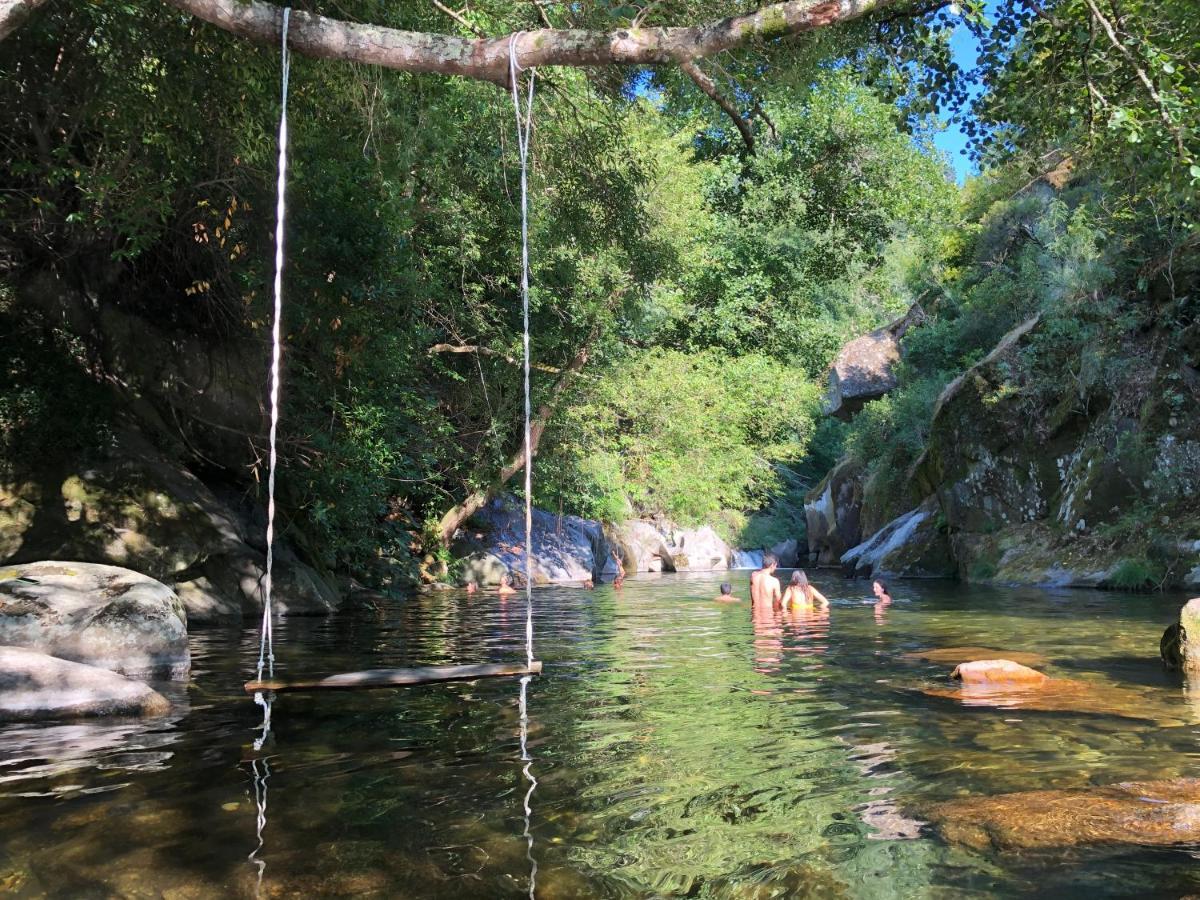 Casa Da Zefinha, Em Cinfaes, No Douro Daire Dış mekan fotoğraf