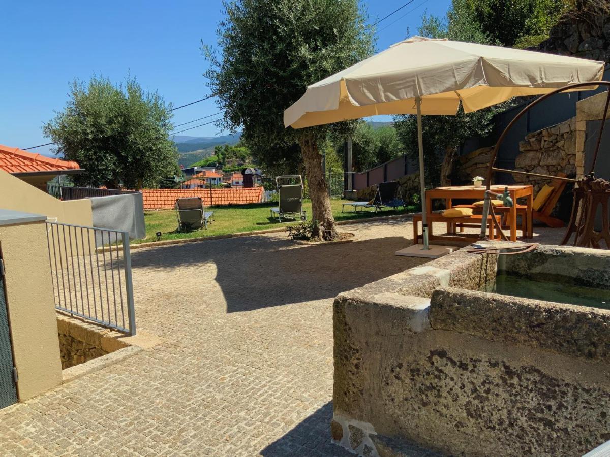 Casa Da Zefinha, Em Cinfaes, No Douro Daire Dış mekan fotoğraf