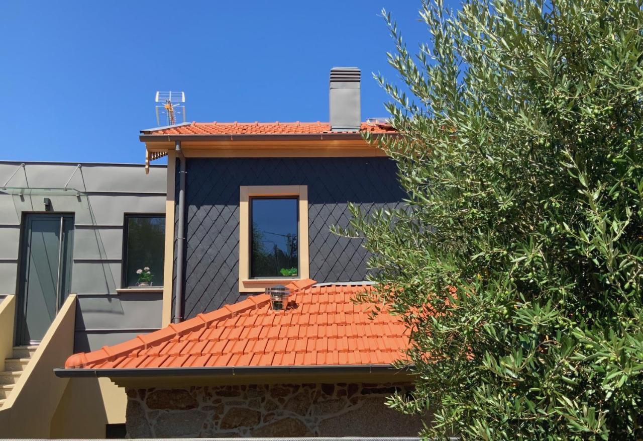 Casa Da Zefinha, Em Cinfaes, No Douro Daire Dış mekan fotoğraf